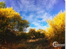 Bán đất Thiện nghiệp  5000 m2 TP Phan Thiết ,Bình Thuận