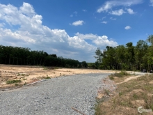 Đất Phú chánh gần bv Nhi cách 600m dt 300m2 giá 1.1 tỉ giá rẻ nhất thị trường