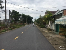 CHÍNH CHỦ CẦN BÁN GẤP ĐẤT SÀO VĨNH TÂN VĨNH CỬU ĐỒNG NAI GIÁ THƯƠNG LƯỢNG