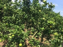 đất huyện vĩnh cửu, tỉnh đồng nai 4700m2