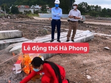 Phân Phối Dự An Ha Phong Fairy City