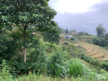 Lô đất view săn mây, diện tích lớn 1200 m2 Sín Chải