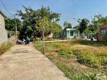 Chính chủ cần bán gấp lô đất thổ cư đường bê tông ngay trường Phước Trạch.