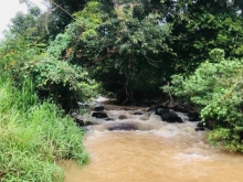 Bán đất view suối tại Gia Hiệp, Di Linh (cách QL 20 chỉ 2km),300tr/sào