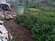 Bán đất xay dung hẻm xe hoi ,cách tt lạc dương 500 m,dt 175 m2,xay dựng