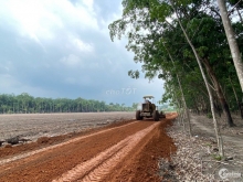 Bán đất giá phù hợp đẩu tư 1000m2, giá 380tr/nền,nằn ngay trục chính KCN tân Hội