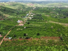 Đất Đinh Trang Hòa đường ô tô sổ riêng 2909m2 Giá: 810tr