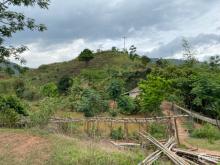 Bán lô đất 1,7h.a giá 100k/1m Tiểu khu 19-5 Mường Sang, Mộc Châu, Sơn La cực đẹp