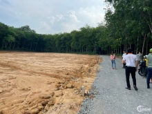 Đất nền Vĩnh Tân, dt 350m giá chỉ 900tr, 2,750tr/m cách Trường lái xe 500m