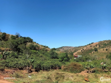 Bán đất nông, lâm nghiệp Xã Tà Nung, Thành phố Đà Lạt 2021