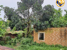 Đẹp long lanh lô đất 1168m2 tại Cổ Đông Sơn Tây Hà Nội giá  hơn 3tr/1m2