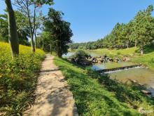 Chính Chủ Bán Suất Ngoại Giao Biệt Thự Mặt Suối 462m2  B5-21.