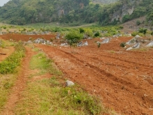 Bán nhanh lô 6000M2 – Đông Sang, Mộc Châu, Sơn La GIÁ SIÊU XINH