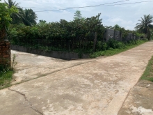 Cần tiền bán gấp 518m2 đất ở xã thọ dân huyện triệu sơn thanh hóa