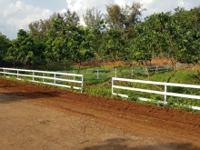 Bán đất sào chính chủ,có sổ sẵn dt 1100m2 giá 1tyxx thương lượng