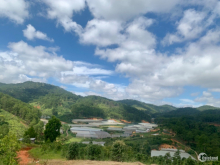 Bán vườn tại đạ sar lạc dương lâm đồng