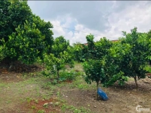 Bán đất Xã Bảo Quang, Thành Phố Long Khánh