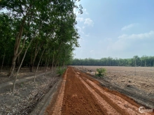 Đất Tây Ninh đầu tư giá F0, sổ sẵn, công chứng liền
