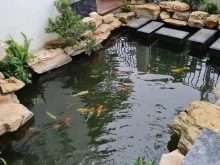 Bán dự á Times Garden Vĩnh Yên