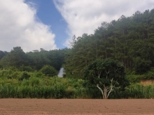 Bán đất biệt thự 508m2 tại đèo Mimosa Phường 10 , thành phố Đà Lạt