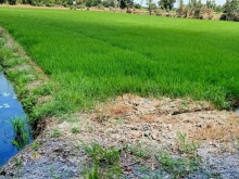 đất  2 mặt tiền sổ riêng 4131m2 chỉ 1,4 tỷ cách sg  45km