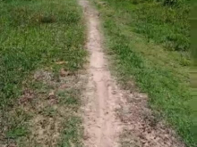 Cần ra nhanh đất lâu năm tại Hàm Chính