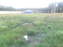 Bán đất xã long an.H Long Thành. Gần Sân Bay, KCN Nam Long