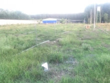 Bán đất xã long an.H Long Thành. Gần Sân Bay, KCN Nam Long