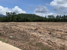 Tôi cần bán gấp lô đất để có tiền trả nợ cho con