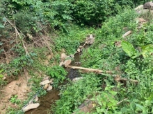 Đất nghie dưỡng tại thạch thất hà nội