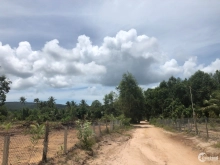 Bán nền giá cực rẻ chỉ 190 triệu tại Phú Quốc