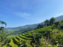 Bán đất Y Tý 4000m2 quy hoạch đất ở, pháp lý an toàn.0822356688