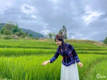 Bán Lô đất Y Tý( Sapa2) view ruộng bậc thang cực đẹp-0822356688