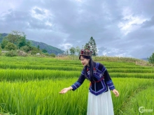 Bán Lô đất Y Tý( Sapa2) view ruộng bậc thang cực đẹp-0822356688