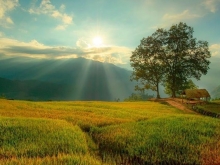 03 Lô đất liền kề gần 1200m tại trung tâm Du lịch Y Tý ( Sapa2 )- Liên hệ 082235