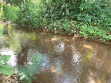 Cần bán đất có 2 con suối bao quanh, có sẵn 600m thổ cư tại Kim Long, BRVT