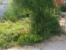 Đất Thôn 6 Thuỷ Phù, Hương Thuỷ 8xxtr