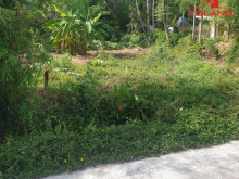 Đất Thôn 6 Thuỷ Phù, Hương Thuỷ 115m2