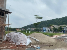 DỰ ÁN GIÃN DÂN CHÈ DỌC, LIÊN BÃO, TIÊN DU