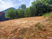 Chính Chủ Bán Gấp 2 Lô Đất LK Giá Rẻ Có Sổ Đỏ Huyện Yên Lập Phú Thọ 495m2