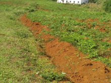 Sang sổ khu đất bằng ôm suối, view thác Tuy Đức, Đắk Nông