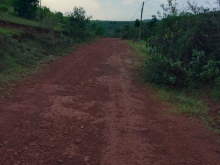 Sang chủ trương 53ha đất trang trại tiêu chuẩn, Tuy Đức, Đắk Nông