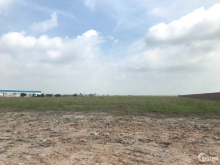 Bán 3.500m2 cụm Công nghiệp Đại Lâm – Lạng Giang, có sổ đỏ, giá rẻ.