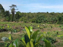 Bán nhà vườn BRVT có 2 mặt tiền 180m ven suối nước quanh năm, 100m2 thổ cư