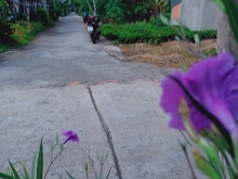 Đất Đẹp Giá Mềm Sa Đéc, Mùa Dịch 2021