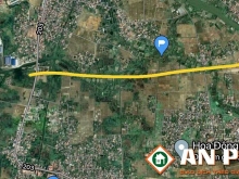 Cần bán 1ha đất 20 năm mặt đường 203 Thiên Hương, Thủy Nguyên, Hải Phòng