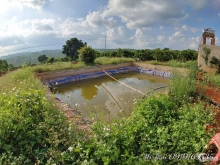 Bán 9.000m2 (9 sào) đất chính chủ tại xã hoài đức,h.lâm hà,lâm đồng,320 tr/sào