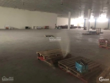 Xưởng 1000m2, 2000m2 cho thuê tại KCN Vsip, PCCC tự động, sàn epoxy, trần thạch