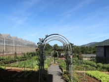 Đất biê thự nghỉ dưỡng tại đà lạt-giá tốt