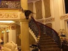 Căn biệt thự chính chủ giá rẻ uy tín cho ai nhanh tay